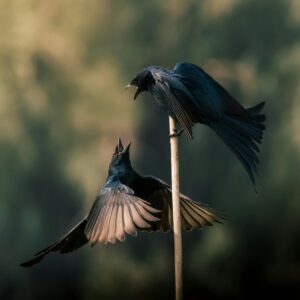 Test 3